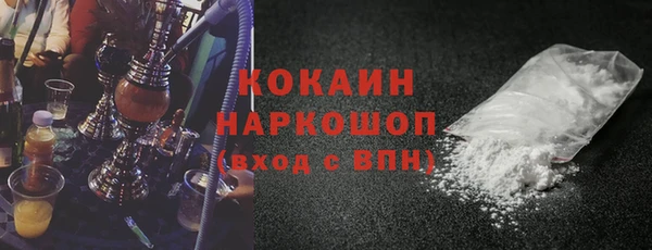 шишки Осинники